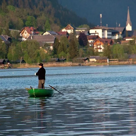 Directly On The In Carinthia