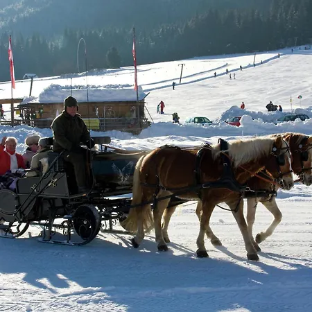 Apartment Directly On The In Carinthia Weissensee
