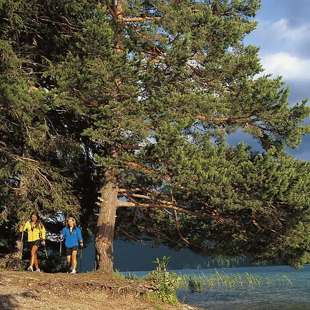 Directly On The In Carinthia Weissensee