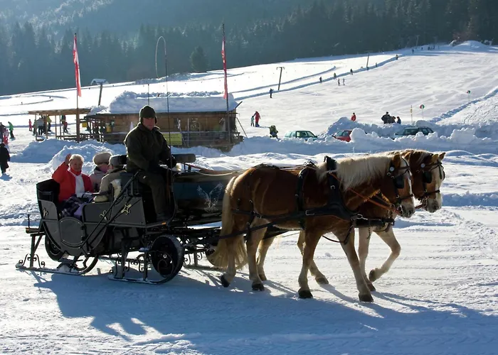 Apartament Directly On The In Carinthia Weissensee